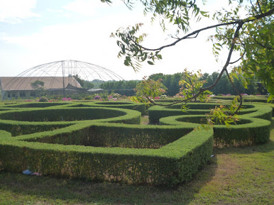 P1160782.jpg