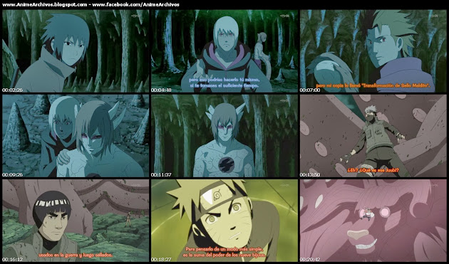 Naruto Shippuden 341