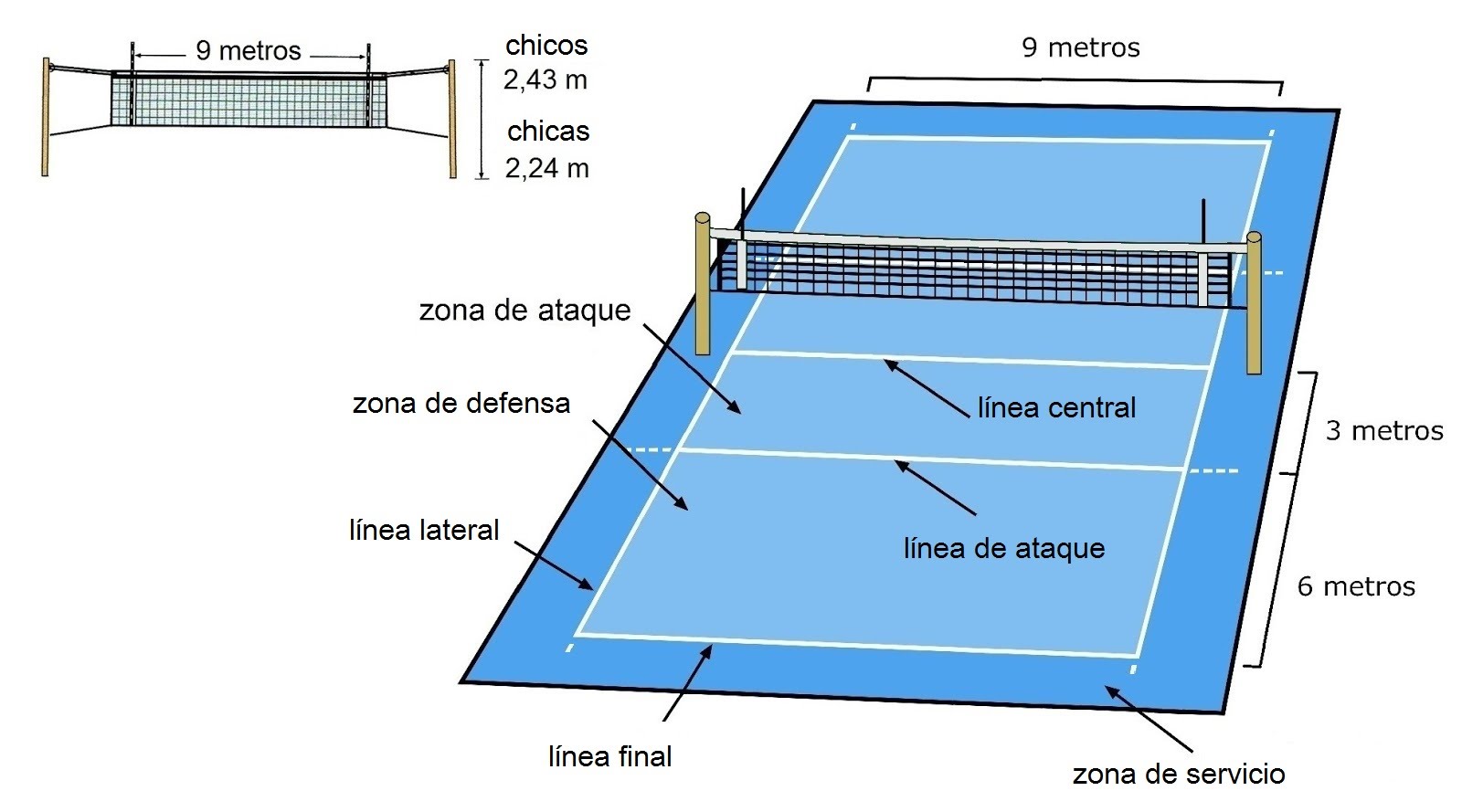 Fundamento del Voleibol