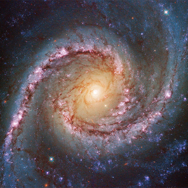 Spiral Seyfert Galaxy NGC 1566