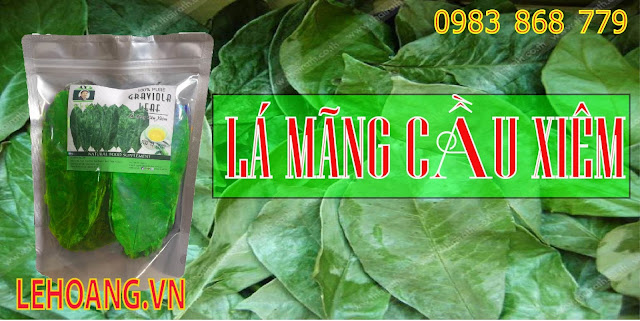 Kết quả hình ảnh cho mang cau xiem le hoang