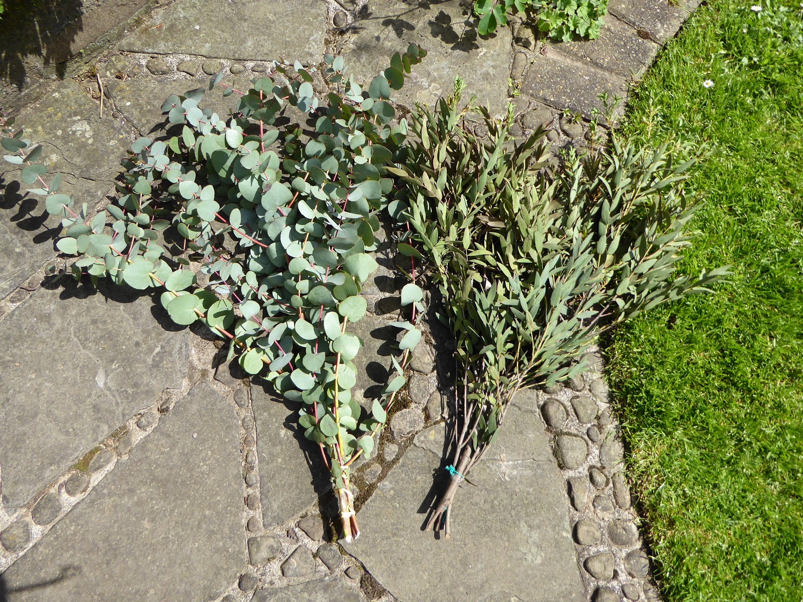 Wool Tribulations of Hand Spinning and Herbal Dyeing Contact Dye