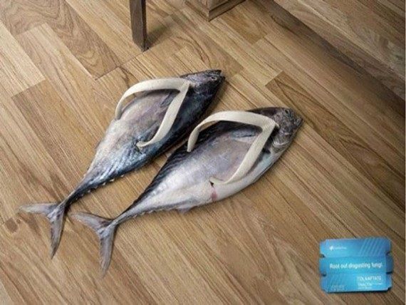 80 Gambar Lucu Ikan Asin Paling Keren 80 Gambar Lucu Ikan Asin Paling Keren