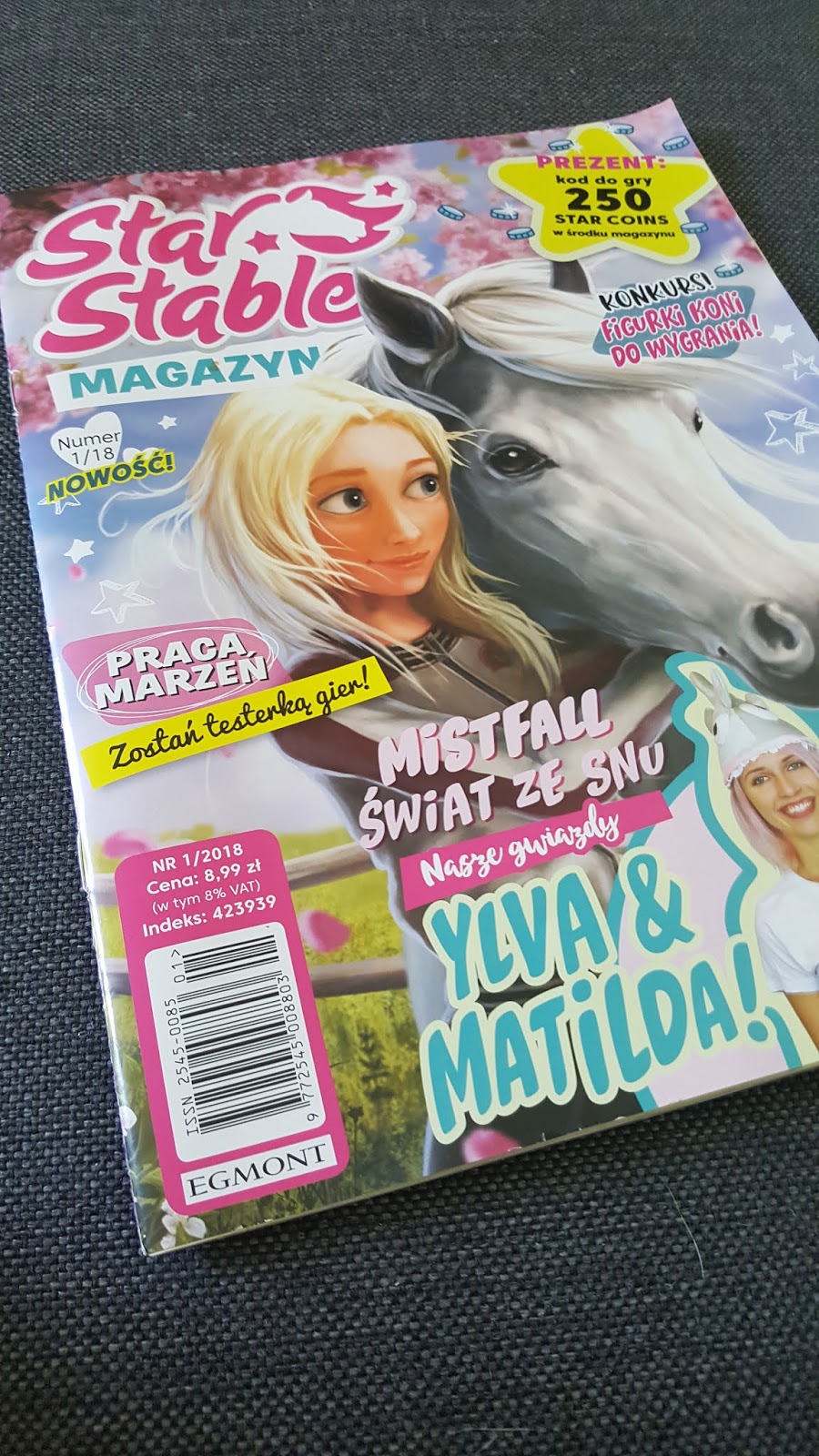 Star Stable Magazyn Z Dudusiem Przez Gry