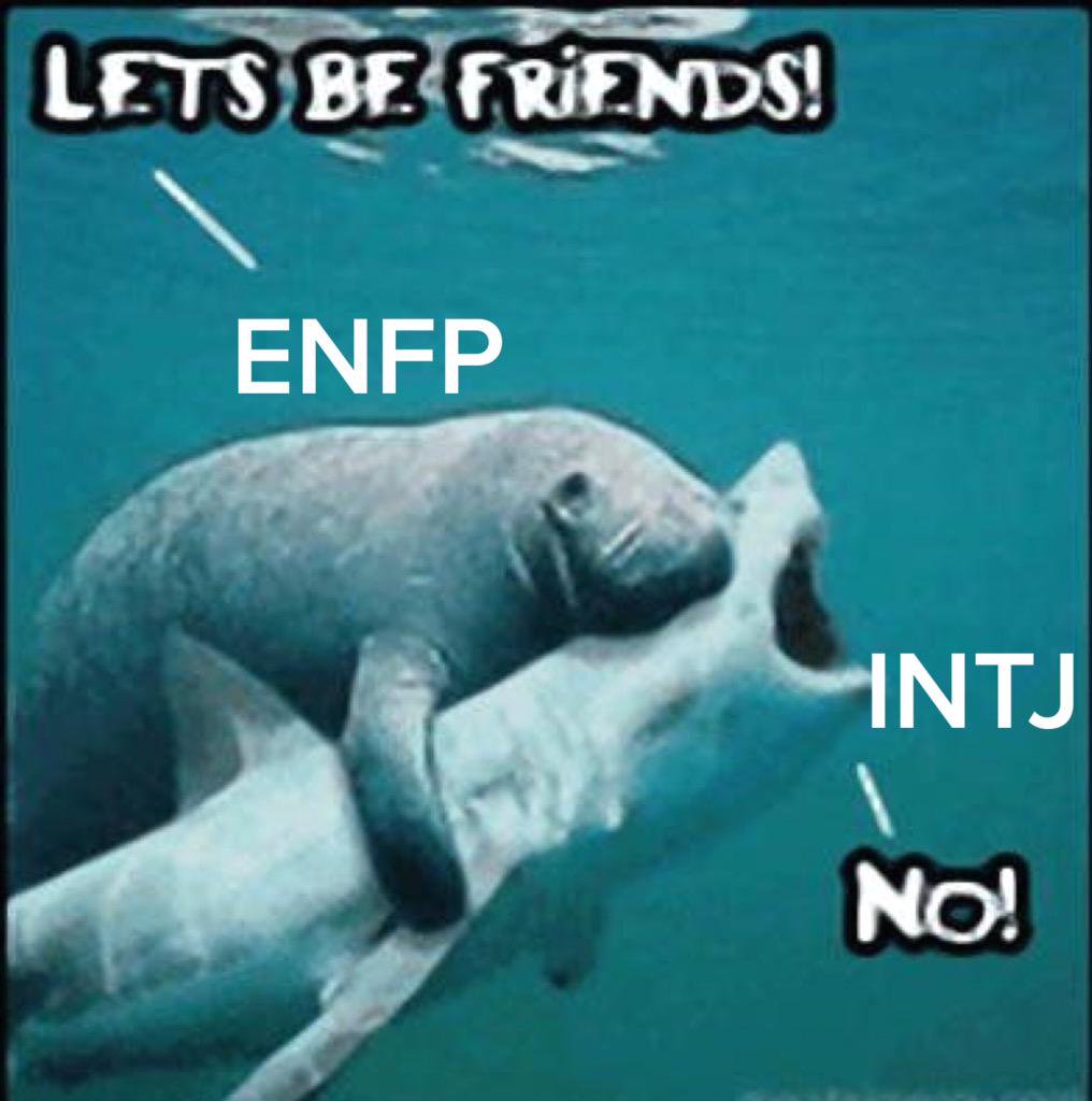 ENFP INTJ Soul Mate Couple B/W 4x6 Thermal 