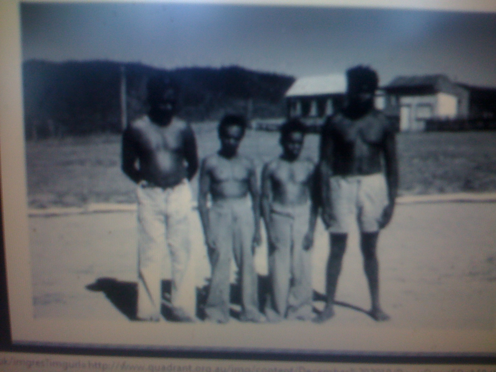 THE BLACK SOCIAL HISTORY BLACK SOCIAL HISTORY THE BLACK TASMANIANS