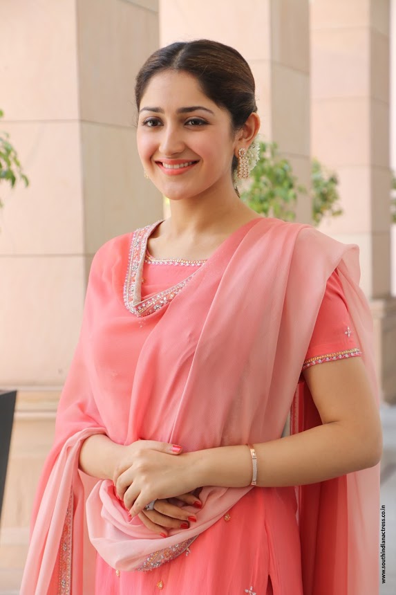 Sayyeshaa Saigal at Kadaikutty Singam Success Meet