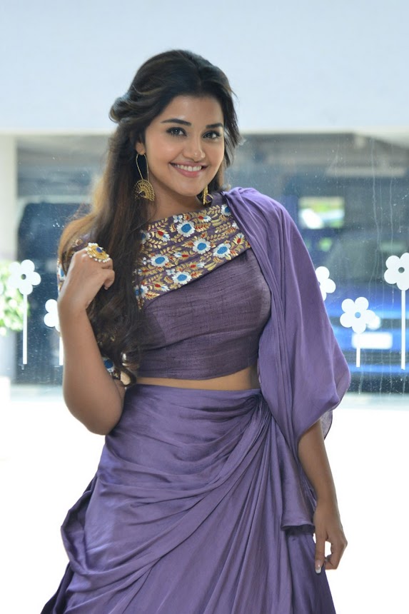 Anupama Parameswaran at Hello Guru Prema Kosame Success Meet