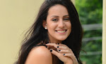 Thikka fame Larissa Bonesi new photos-thumbnail
