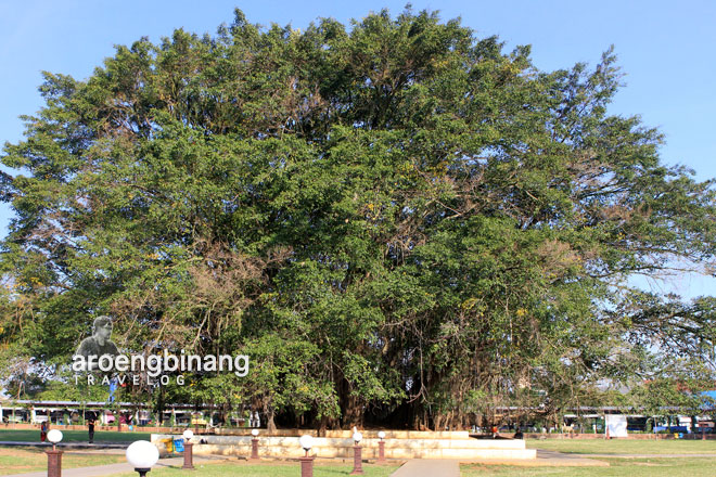 alun-alun batang