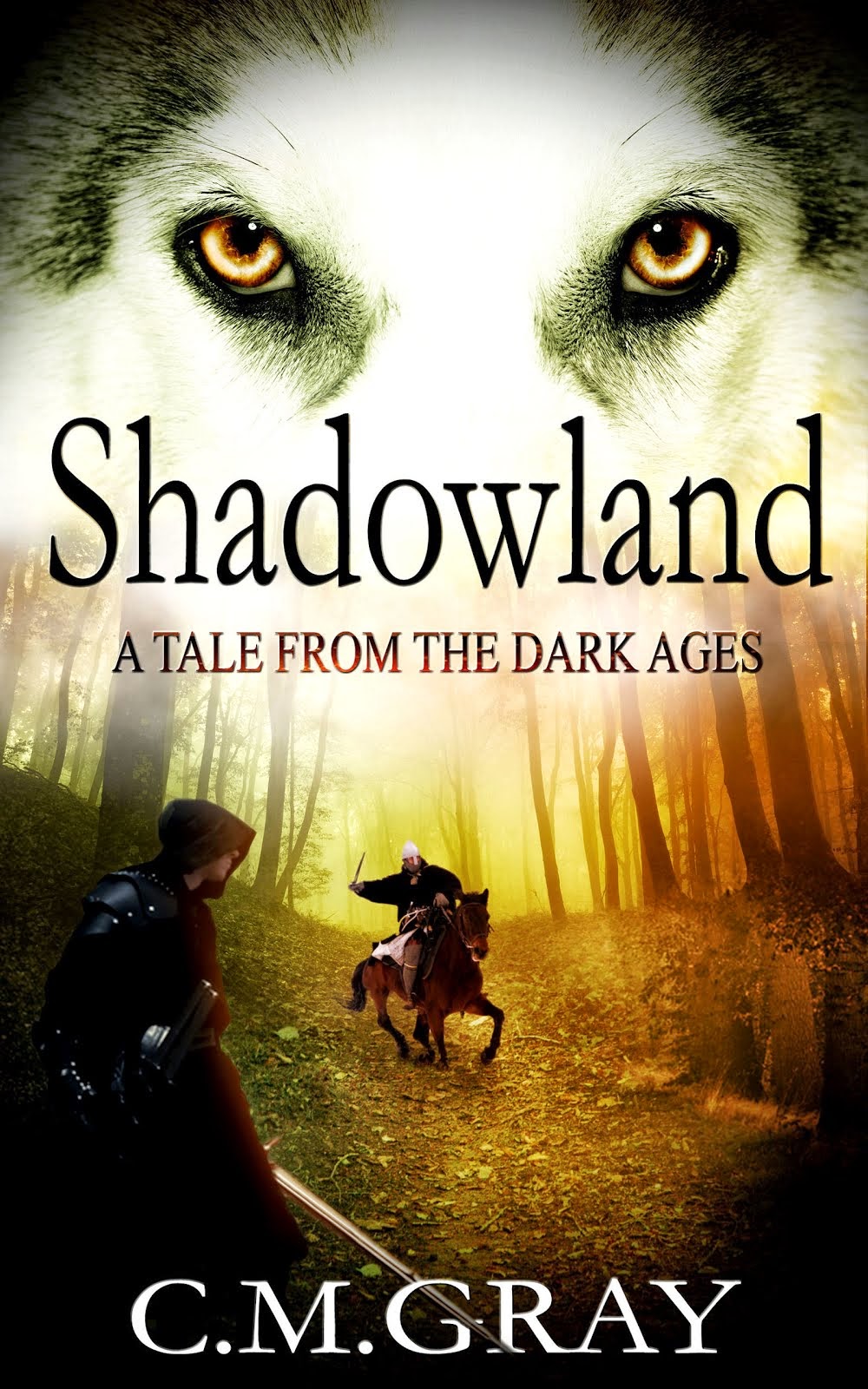 Buy "Shadowland" on Amazon