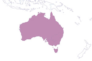 Los países con mayor superficie de Oceanía Australia, el país más grande de Oceanía