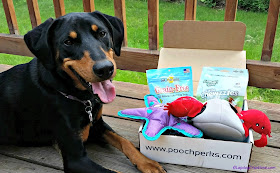 doberman mix rescue dog pooch perks box