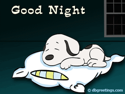 Good Night animated giphy images resuts for Good Night animated giphy