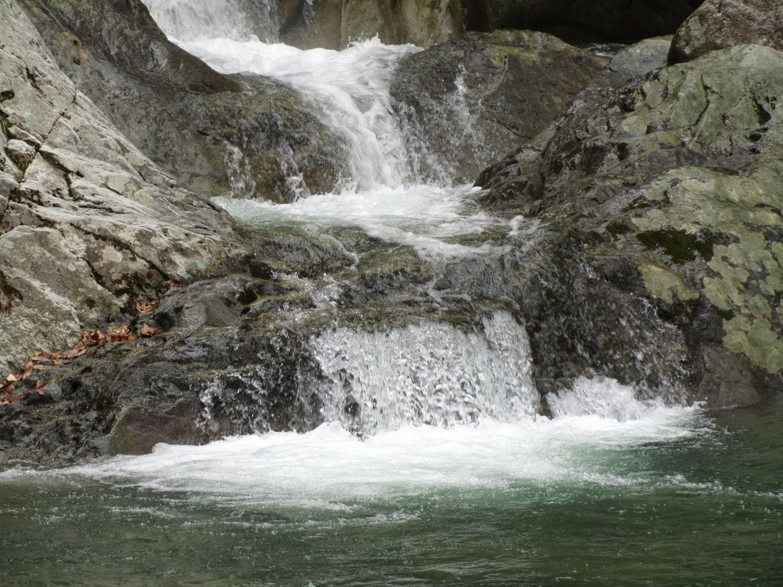 NY's Funniest Rabbi Elite Dimensions Passover Tour At The Honor's