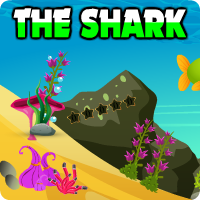 Avmgames The Shark Escape