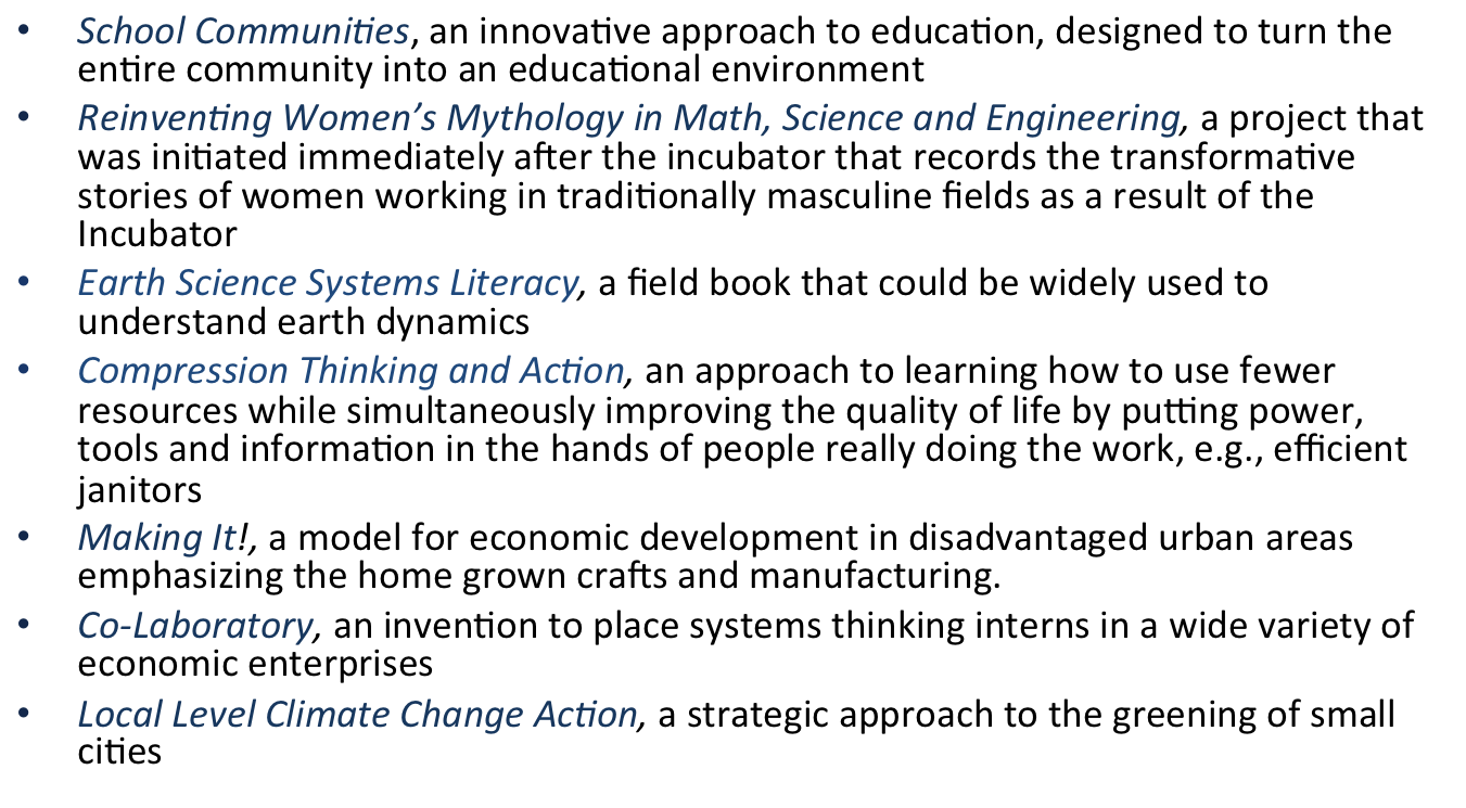 Life Sustaining Organizations The Project Incubator and SoL North America