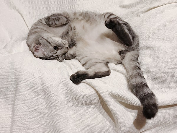 体をクネクネさせている