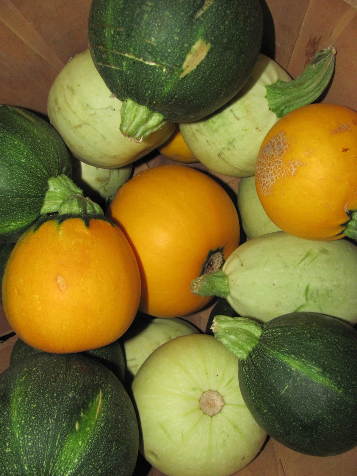 Jay's Jellies, Produce, and More More Round Zucchini