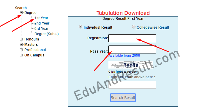 Nu Degree 1st Year Result Online