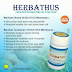 Herbathus Herbal Alami Atasi Pegen Linu dan Nyeri Sendir ( Asam Urat )