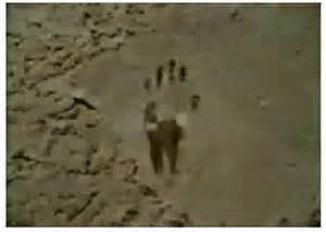 film la baronessa di carini trama