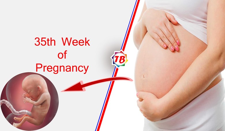 35th Week of Pregnancy
