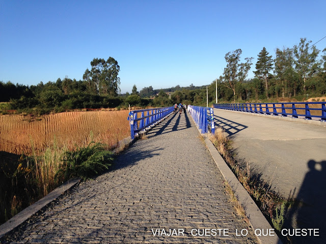 camino de santiago 