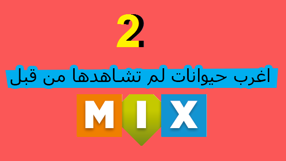 اغرب الحيوانات النادرة التى لم تشاهدها من قبل ( الجزء الثانى )