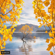 images%2B%25282%2529