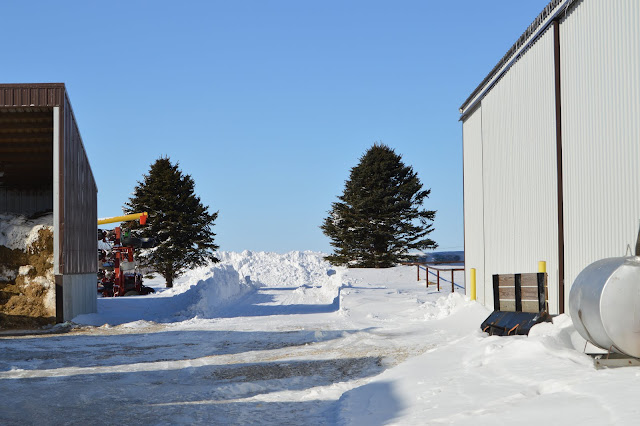 Snow on the Farm Snow on the Farm