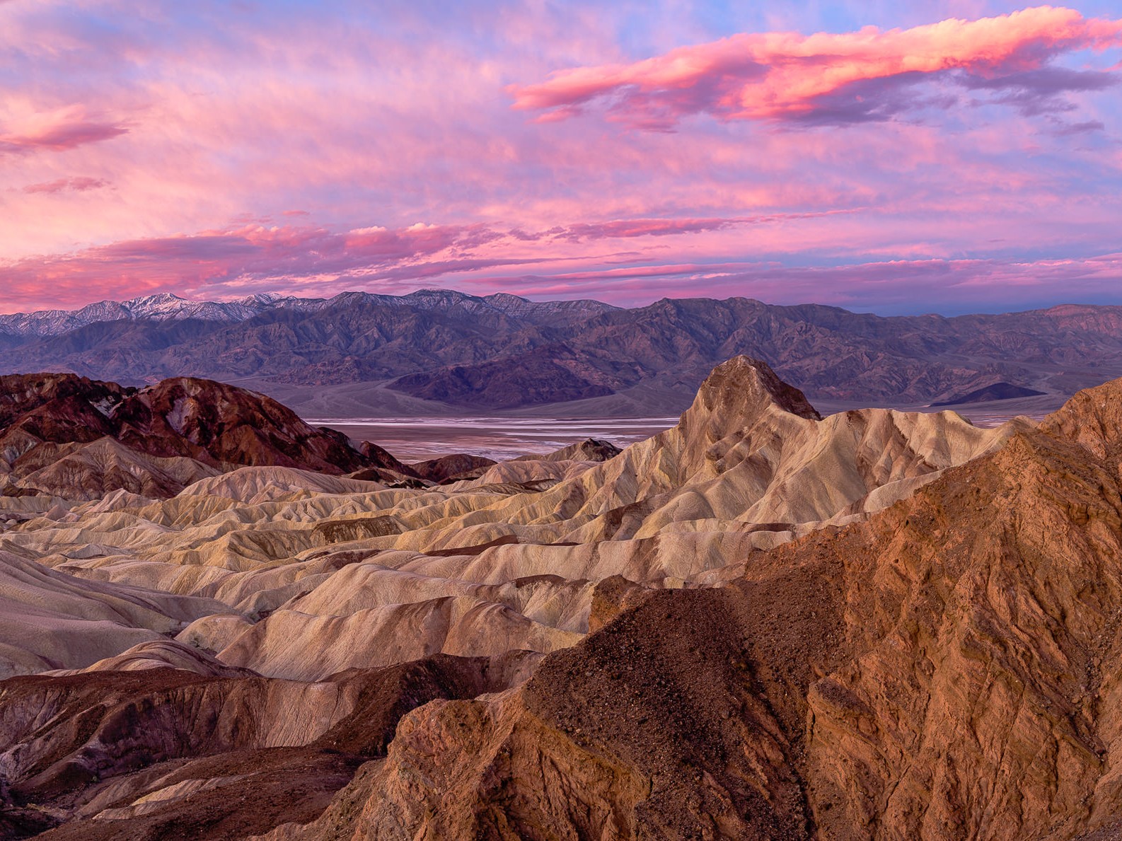 Clima, Piante e Paesaggi degli Stati Uniti d'America Con Foto e Descrizione Il Gusto Della Clima, Piante e Paesaggi degli Stati Uniti d'America Con Foto e Descrizione Il Gusto Della
