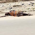 PHOTOS: DEAD BODY LYING ON THE ROAD IN SAPELE, DELTA STATE