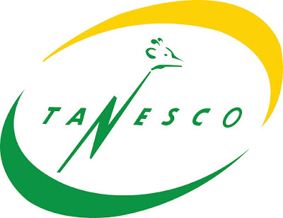 Image result for tanesco tz