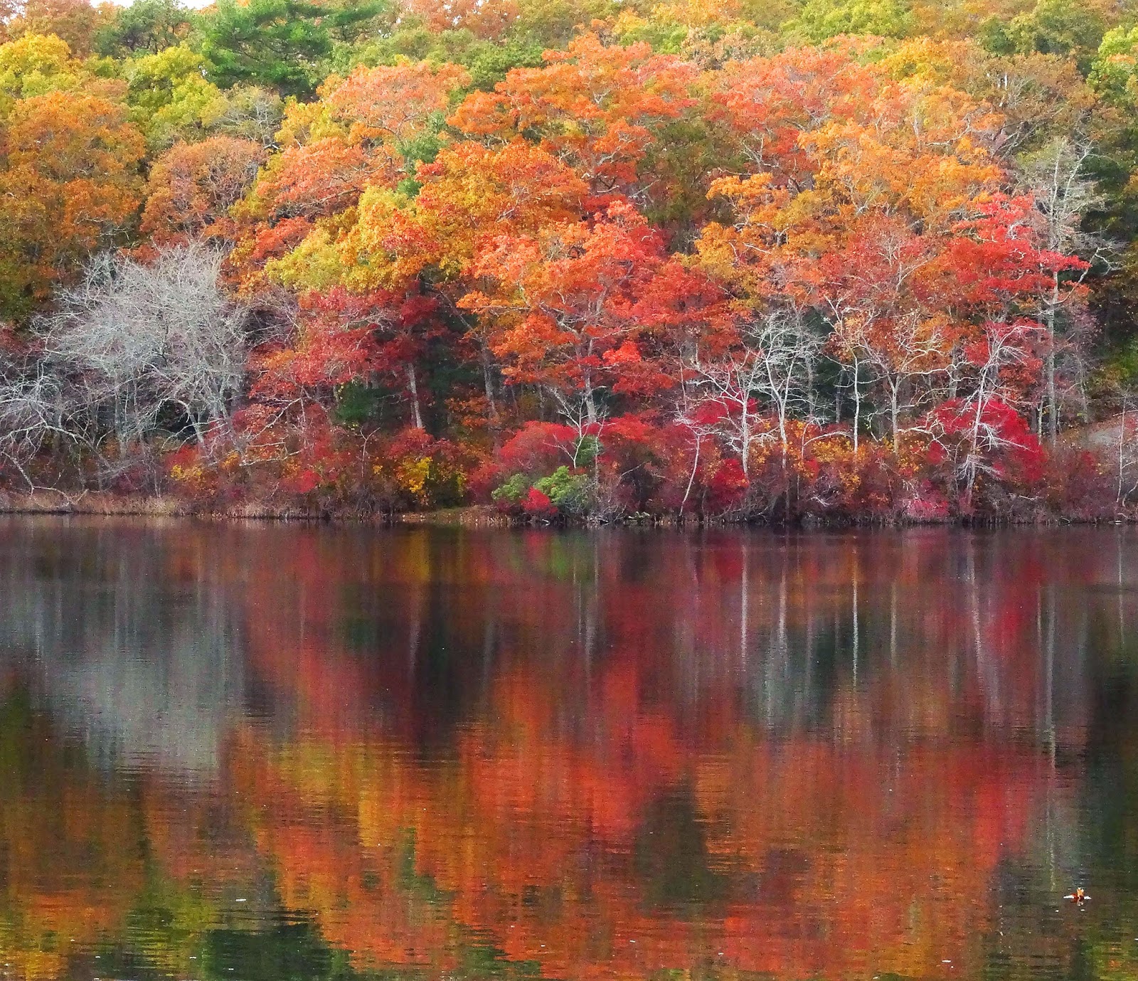 Joe's Retirement Blog Rabbit Pond, Manomet, Plymouth, Massachusetts, USA