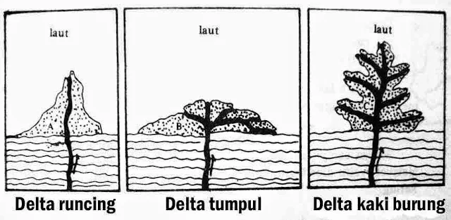 Macam-macam delta