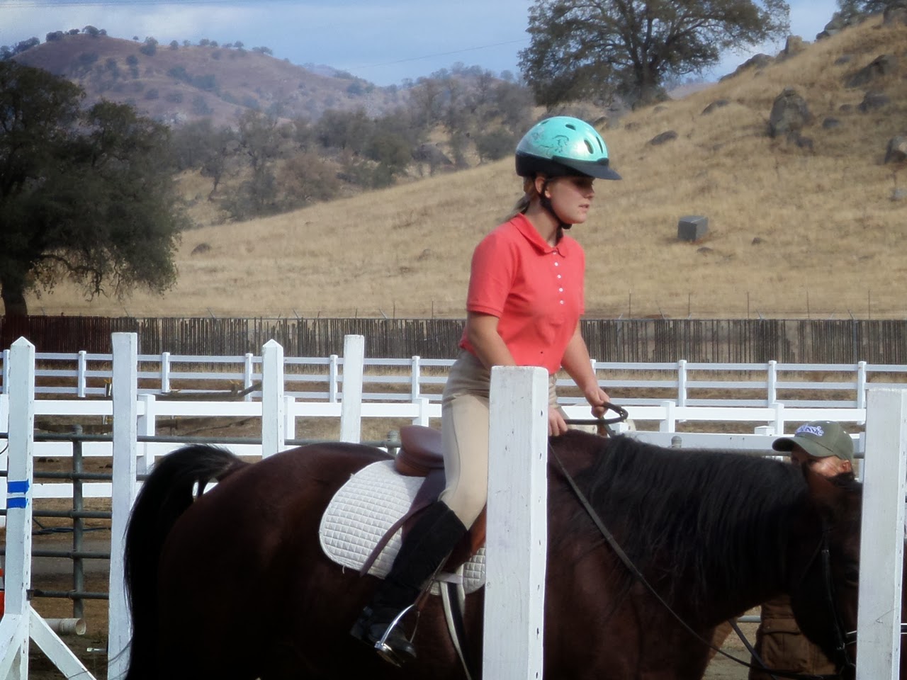 The Aspiring Equestrian Trotting Pictures