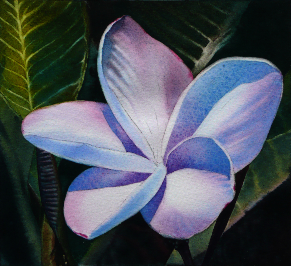Ten Thousand Square Inches of Canvas Work in Progress Two Plumeria