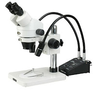 Gambar Mikroskop Stereo