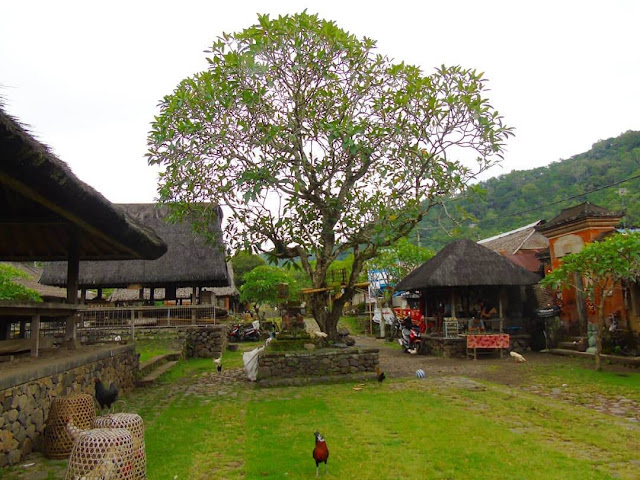 desa wisata tenganan desa wisata tenganan
