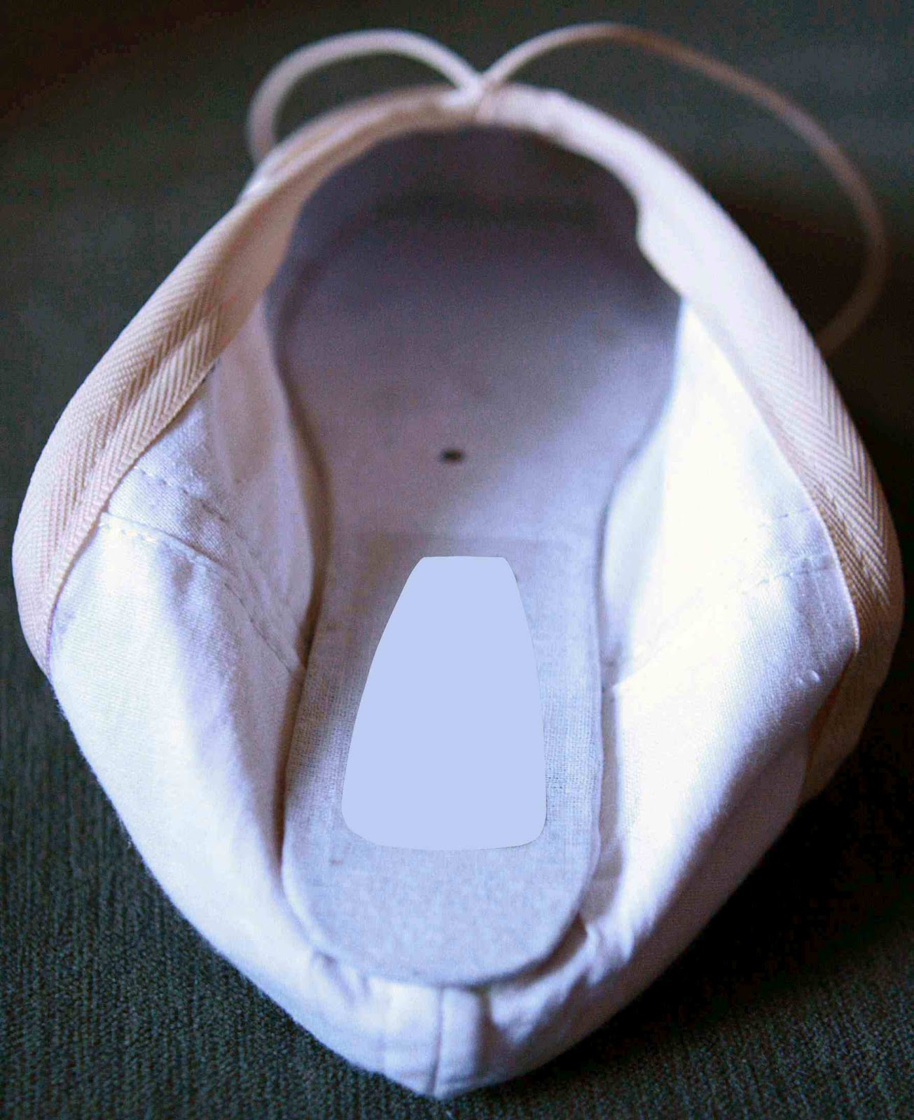 The Dance Scene Pointe shoes 101