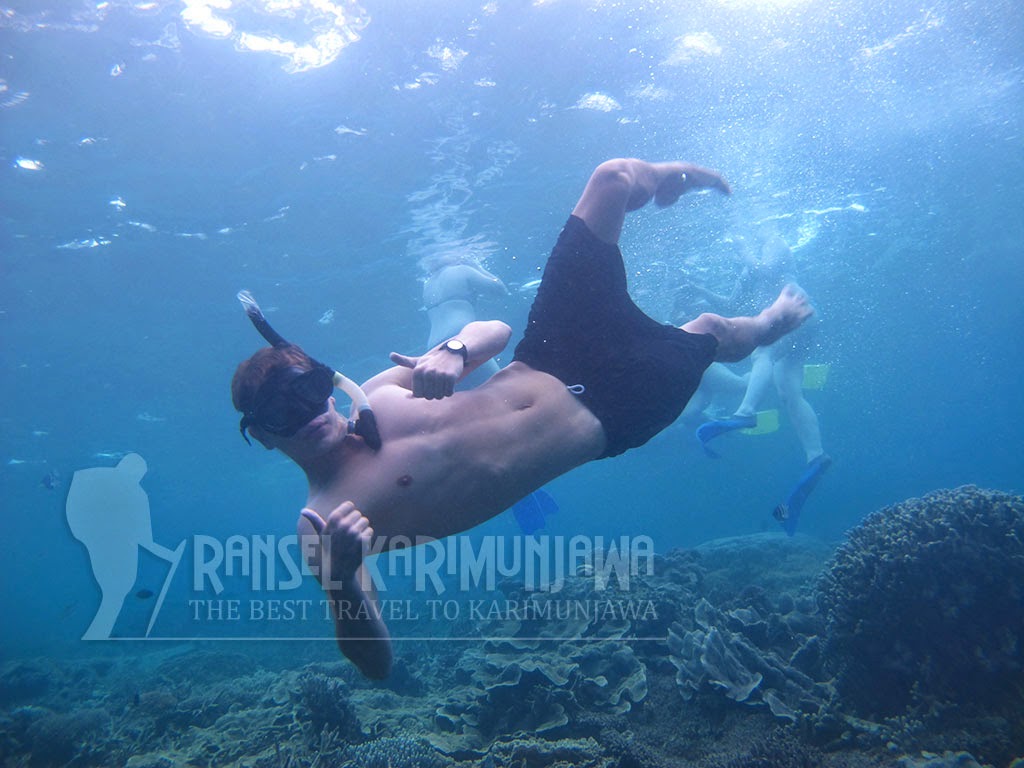 paket siginjai karimunjawa paket siginjai karimunjawa