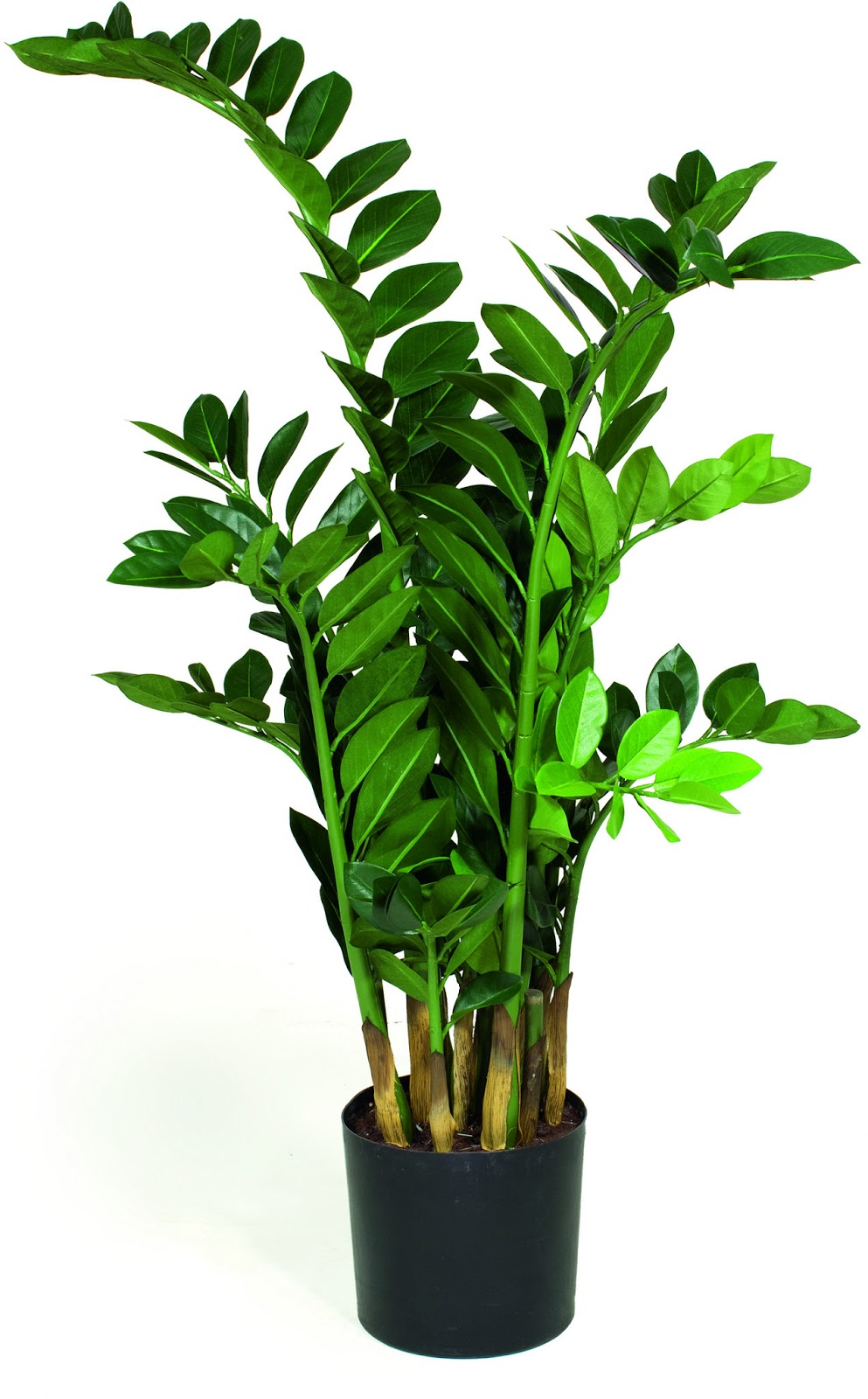 Finest quality artificial plants that look so realistic and natural