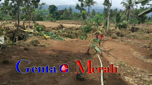 Puluhan Hekra Sawah di Lampura Hancur Total, Diterjang  Banjir Bandang 