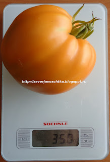 ������� ���� ������