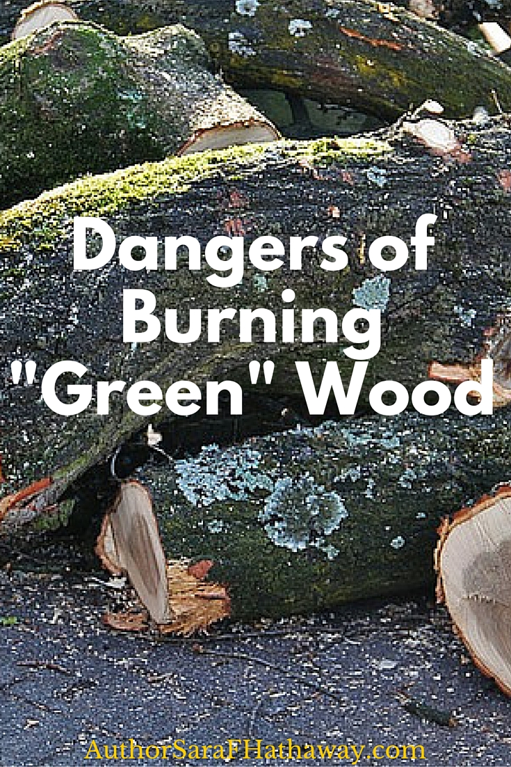 The Changing Earth The Dangers of Burning "Green" Wood; The Changing
