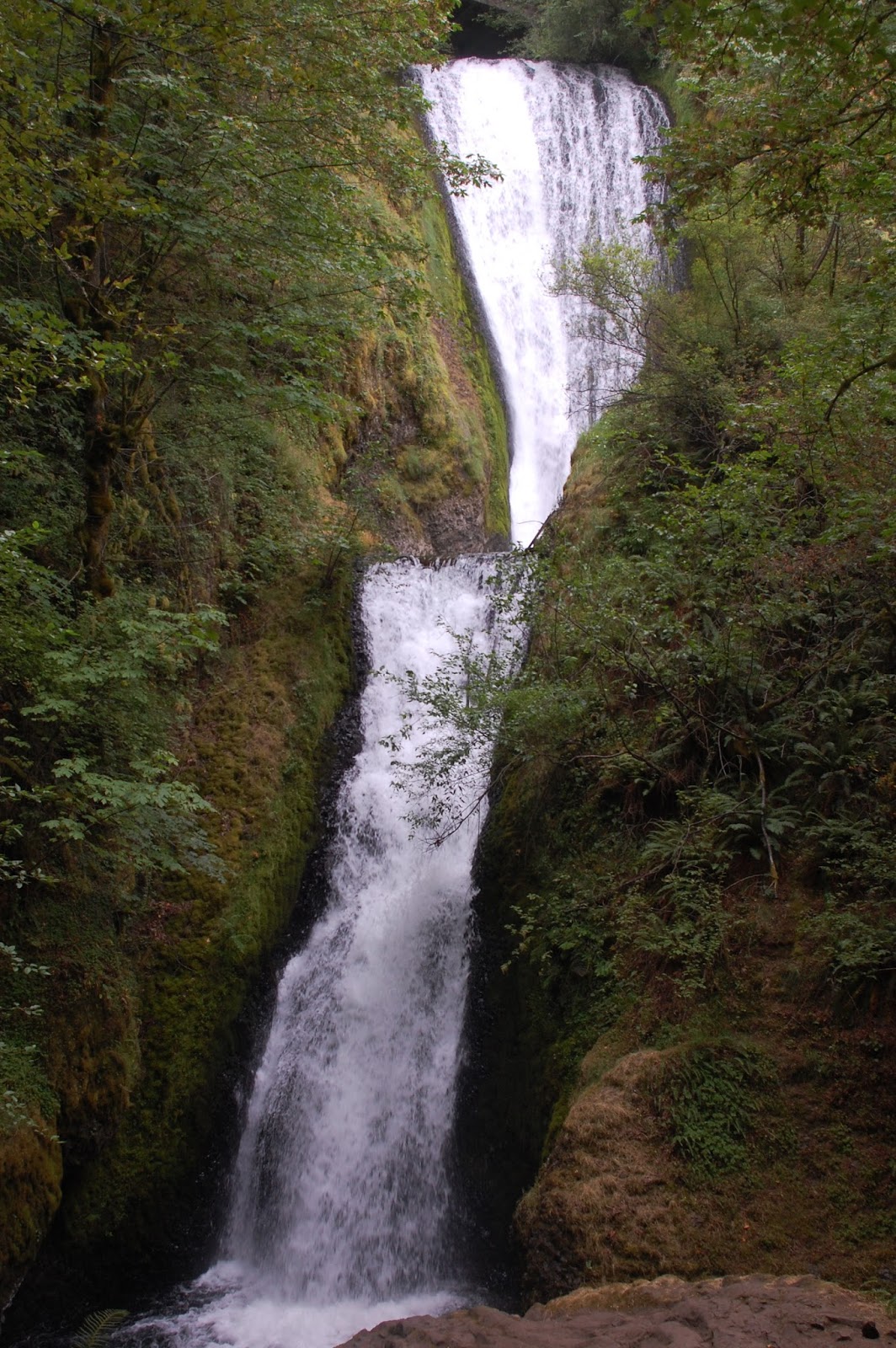 2 Birds in the Nest Bridal Veil Falls, Oregon