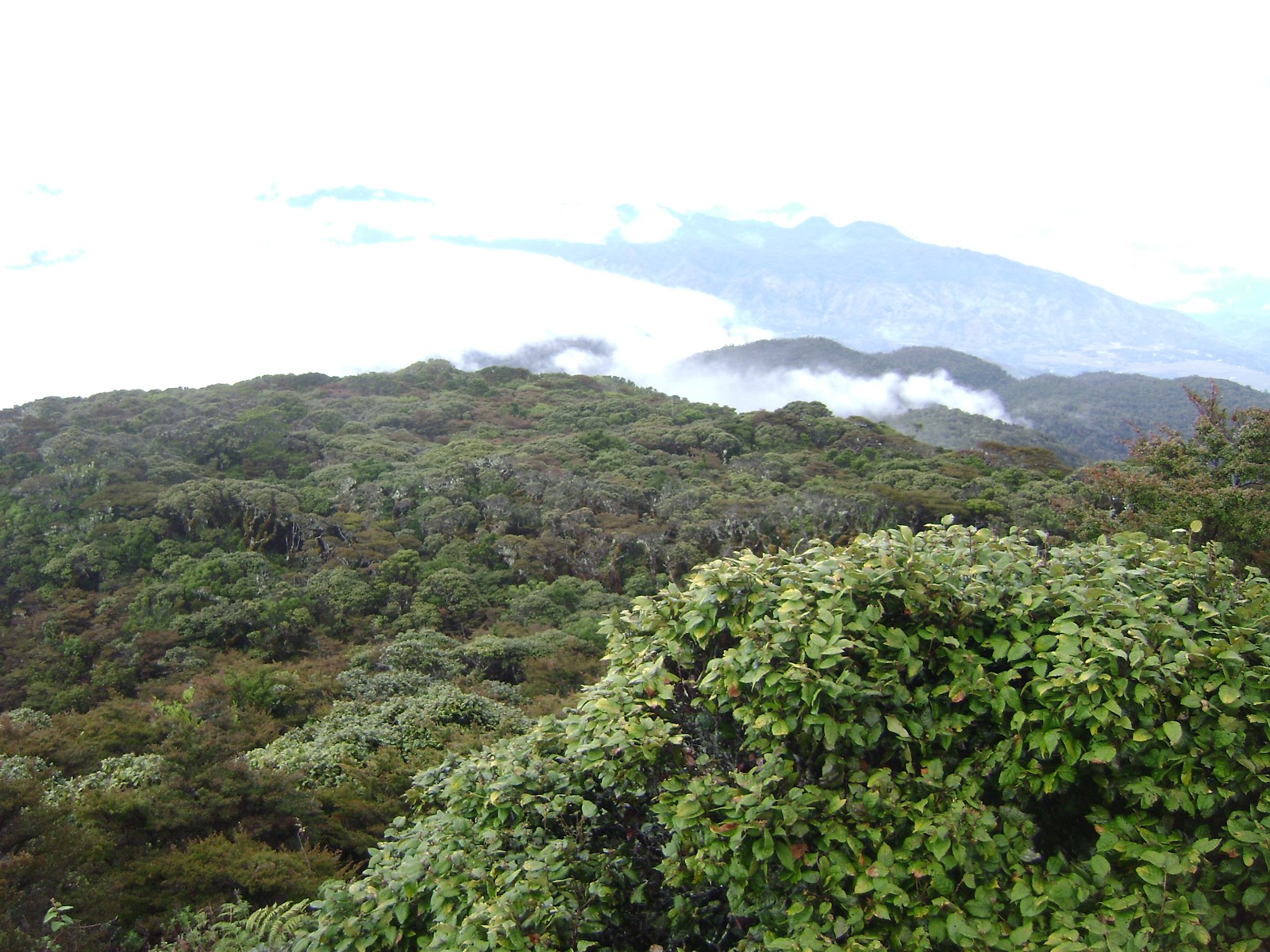 Terus Menulis Cerita Cerita Perihal Gunung Bawakaraeng