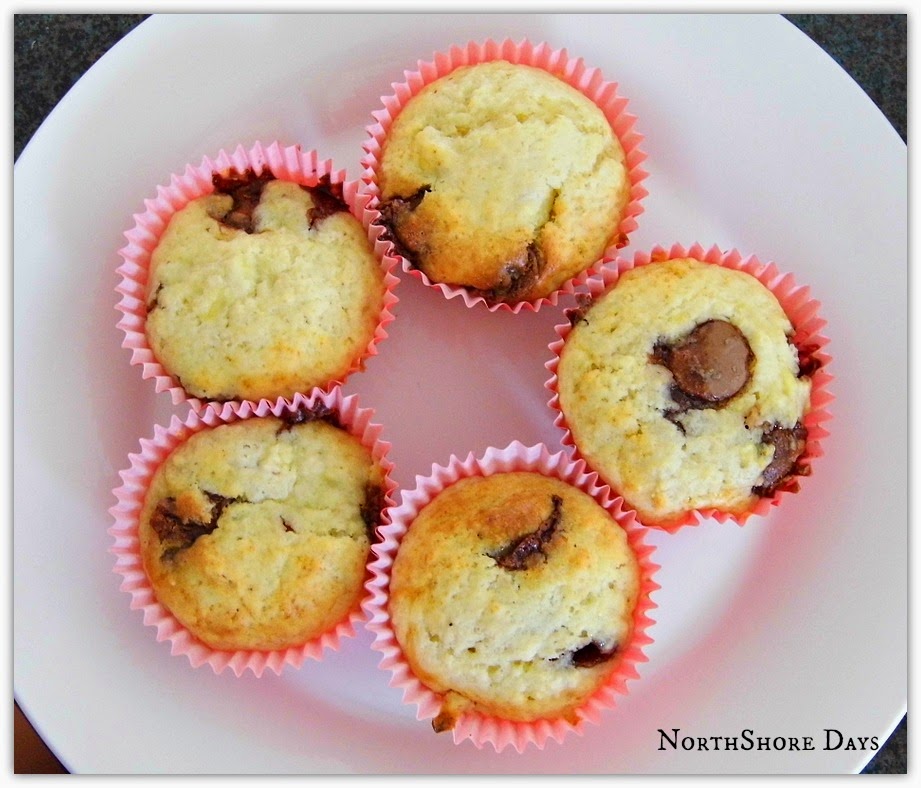 Banana Chocolate Chip Muffins Alison Holst