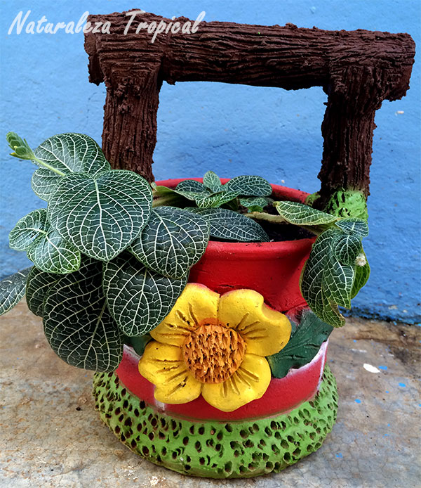 Variante de maceta de barro dando el aspecto de un pequeño pozo donde crece en su interior una planta ornamental